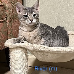 Thumbnail photo of River #2