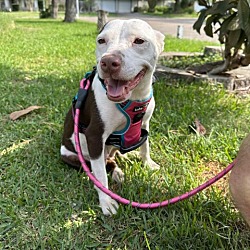 Photo of Cielo