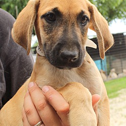 Thumbnail photo of Smith Jared ~adopted!me! #1
