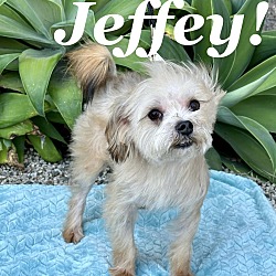 Thumbnail photo of Jeffey #1