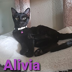 Thumbnail photo of Alivia #1