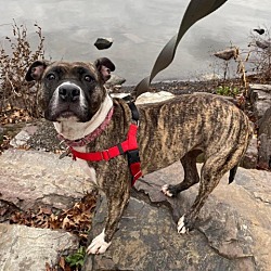 Photo of Libby