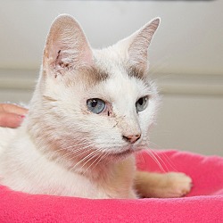 Photo of Greta