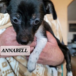 Photo of Annabell