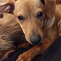 Photo of Jake