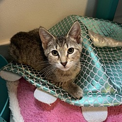 Photo of Fiona