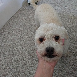 Photo of Max