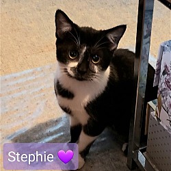 Photo of Stephie