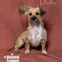 Thumbnail photo of Dolly #3