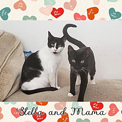 Photo of Stella and Mama