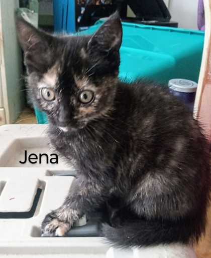 Photo of Jena