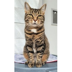 Photo of CLEMENTINE