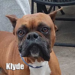 Thumbnail photo of Klyde #1