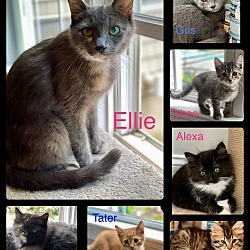 Thumbnail photo of Ellie Mae #2