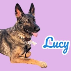 Thumbnail photo of Lucy #2