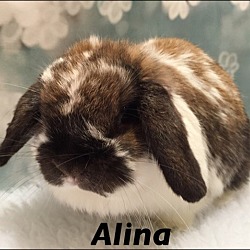 Photo of Alina