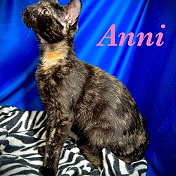 Thumbnail photo of Anni #2