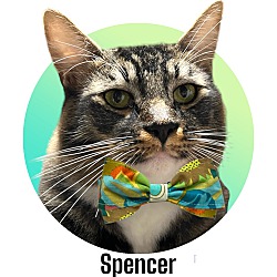 Thumbnail photo of Spencer #1
