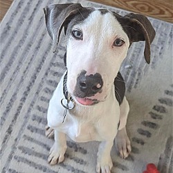 Photo of Samantha
