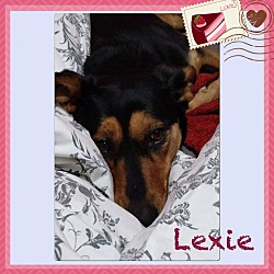 Thumbnail photo of Lexie #2