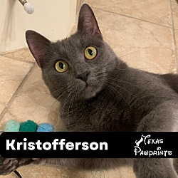 Photo of Kristofferson