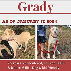 Thumbnail photo of Grady #4