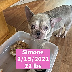 Thumbnail photo of Simone #4