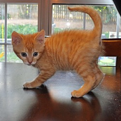 Thumbnail photo of Butters #2