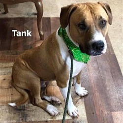 Thumbnail photo of Tank #2