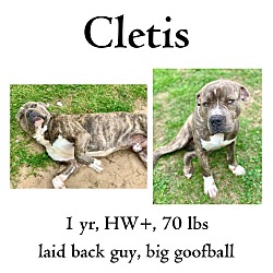 Thumbnail photo of Cletis #1