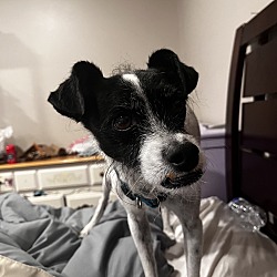 Photo of Jackson