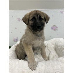 Photo of CHASE