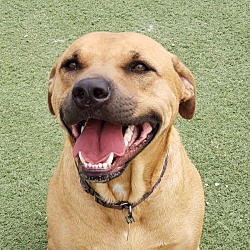 Photo of Buster Brown