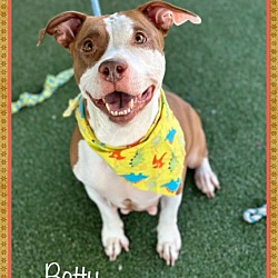 Photo of BETTY - see video