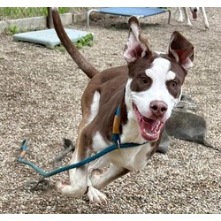 Photo of SPOT