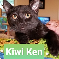 Photo of Kiwi Ken 0351
