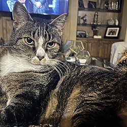 Photo of Calypso