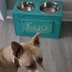 Photo of Kya