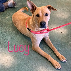Photo of Lucy