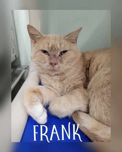 Thumbnail photo of Frank #2