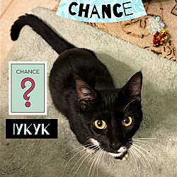 Thumbnail photo of Chance #3