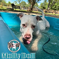 Thumbnail photo of Molly Doll Loves Water #1