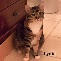 Thumbnail photo of Lydia #1