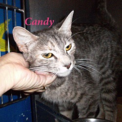 Thumbnail photo of Candy #1