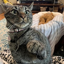 Thumbnail photo of Kahlua #4