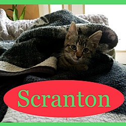 Photo of Scranton