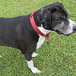 Photo of Hercules