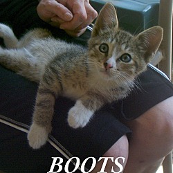 Thumbnail photo of Boots #2