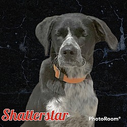 Photo of Shatterstar