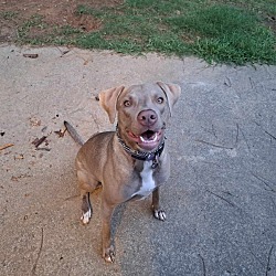 Photo of Saphira 